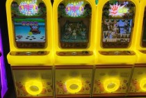 体验正版MG电子放浪假日开启轻松海岛主题之旅